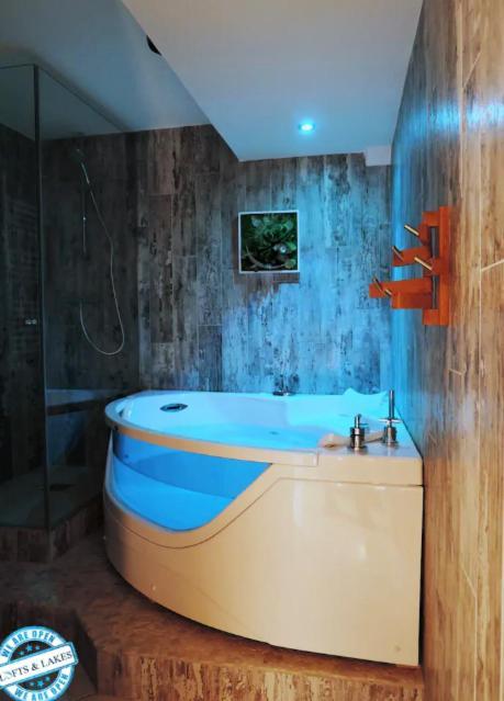 Le Cocon - Lofts & Lakes Certified 4-Stars Анси Экстерьер фото